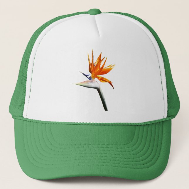 Boné Flor Tropical Laranja Ave do Paraíso (Frente)