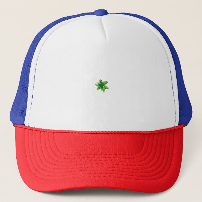 Boné Flor verde-claro, estilizada com uma meia-flor (Frente)