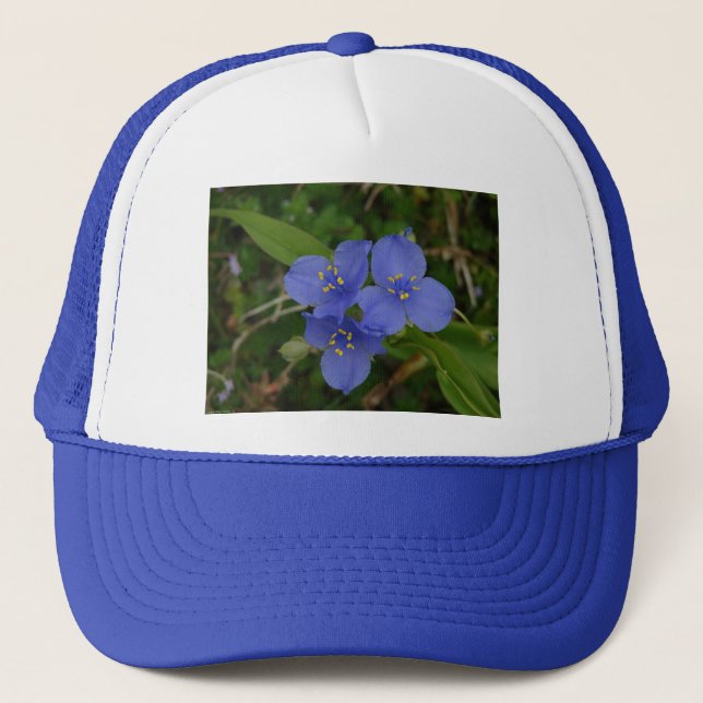 Boné Flores Silvestres Tradescantia Hot Springs AR Pres (Frente)
