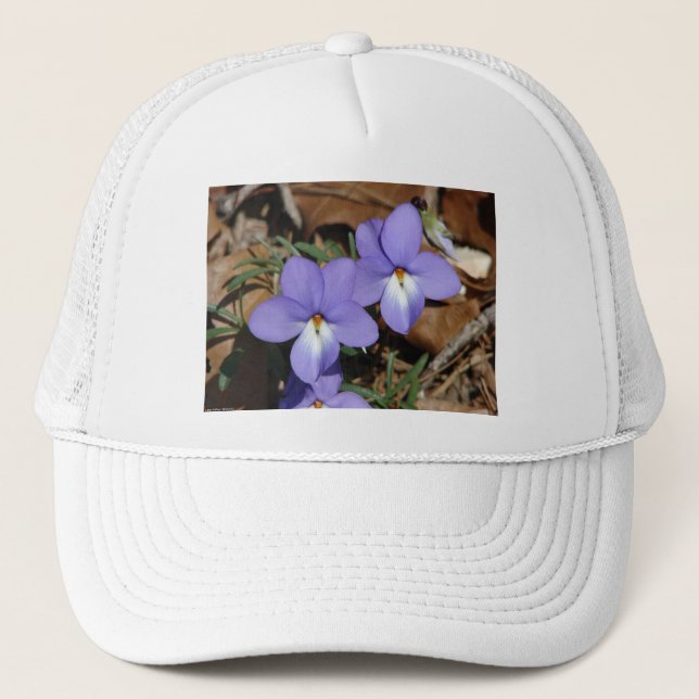 Boné FloresSilvestres Violeta Pata de Pássaro III Prese (Frente)