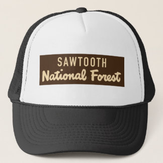 Boné Floresta nacional do Sawtooth
