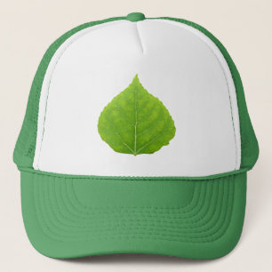 Boné Folha Verde Aspen #11