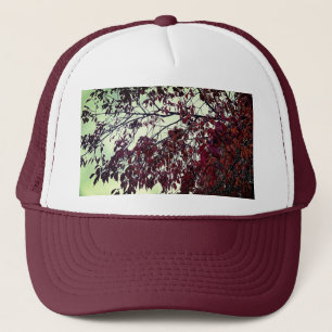 Boné Folhas de castanho