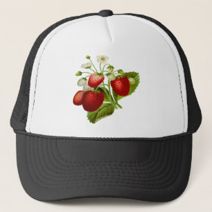 Boné Folhas de folhas de fruta de Comida