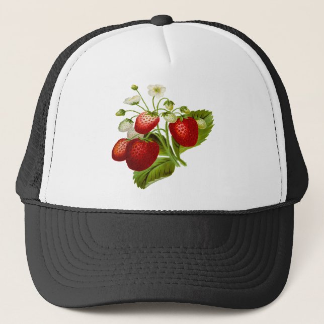 Boné Folhas de folhas de fruta de comida (Frente)