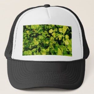 Boné Folhas do Cilantro/coentro