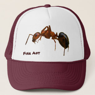 Boné Formiga de fogo