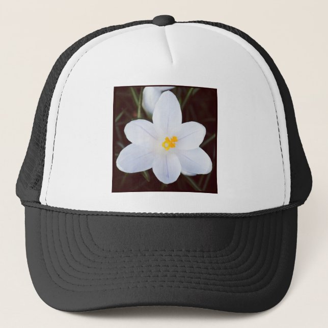 Boné Foto ao quadrado - Crocus branco (Frente)