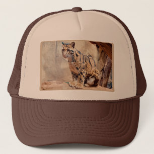 Boné foto de leopardo nebuloso natureza vida selvagem e