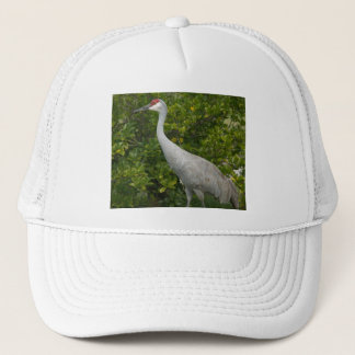 Boné Fotografia do Sandhill Crane Bird