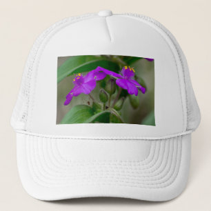 Boné Fuchsia Spiderwort Gêmeos de flor selvagem present