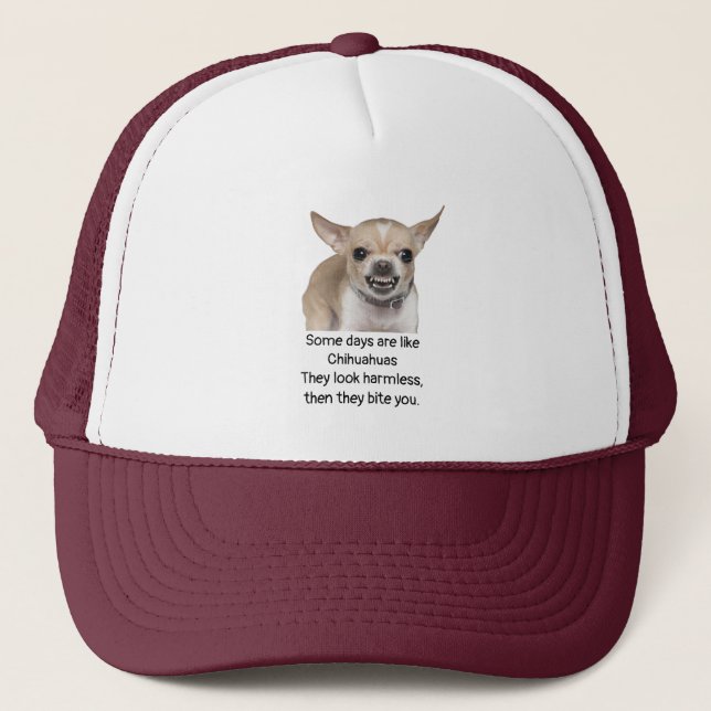 Boné Funny Quote about Life with Chihuahua Dog (Frente)