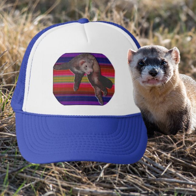 Boné Furão Dançante com Fundo Colorido (Dancing Ferret with Colorful Striped Background Trucker Hat)