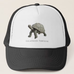Boné Galápagos