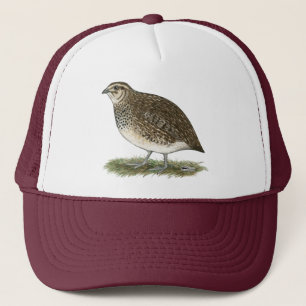 Boné Galinha das codorniz do Coturnix