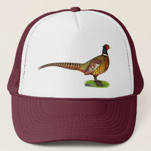 Boné Galo de Cabeça de Ringneck