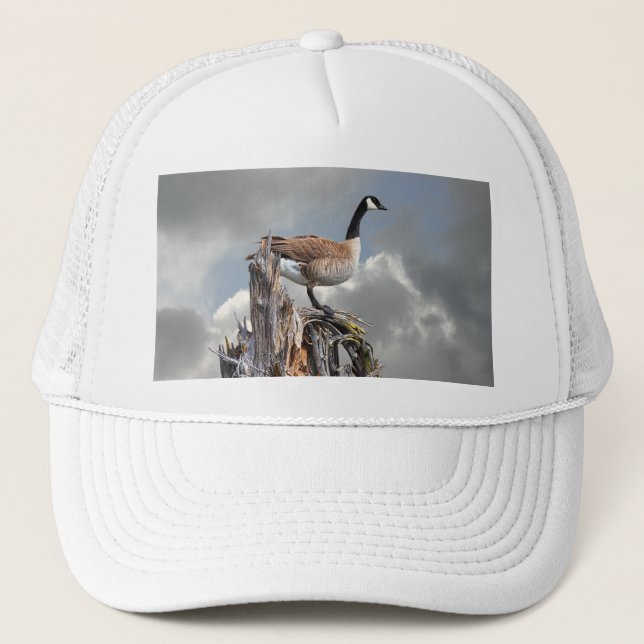 BONÉ GANSO DE CANADÁ (Frente)