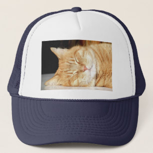 Boné gato