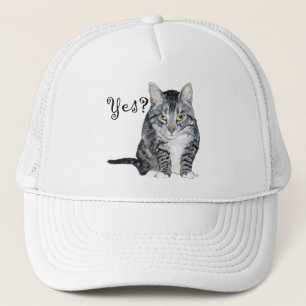 Boné Gato American Shorthair - Sim?
