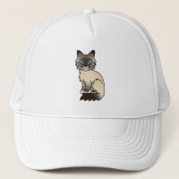 Gato Birman / Ragdoll Tabby de Pontas Seladas