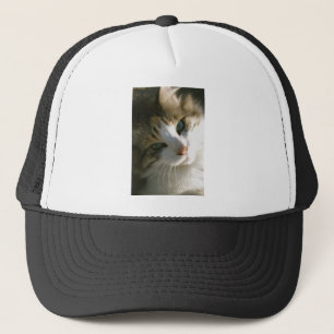 Boné Gato de tigre da chita