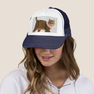 Boné Gato Estiloso de Salto Rosa e Glamour Fofo