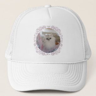 Boné Gato Persa Branco em uma Cadeira Rosa