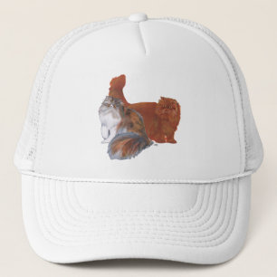 Boné Gato Persa Calico e Gato de Cabelo Longo Vermelho