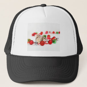 Boné Gato usando enfeite de Natal chapéu vermelho de Pa