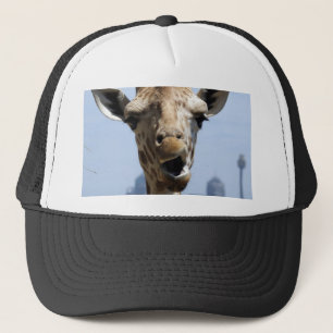 Boné Girafa Hey
