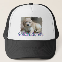 Boné Goldendoodle Lovers