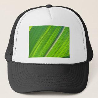 Boné Grünes Maisblattdesign