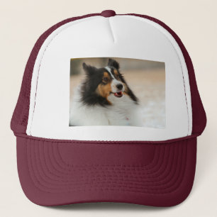Boné Happy Shelty T-Shirt