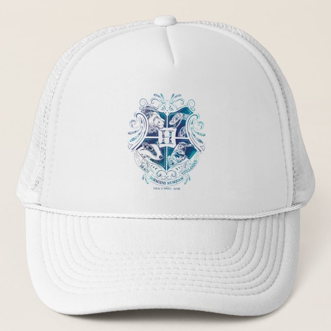 Boné Harry Potter | Aguamenti HOGWARTS™ Crest (Frente)