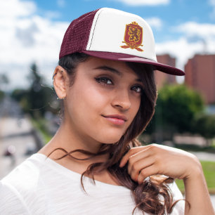 Boné Harry Potter   Gryffindor QUIDDITCH™ Crest