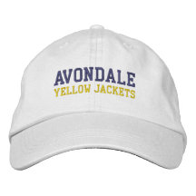 Hat de Baseball Bordado do Segundo grau Avondale