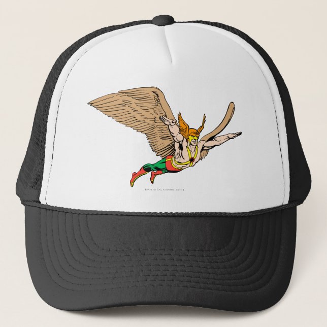 Boné Hawkman Flies (Frente)