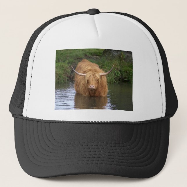 Boné Highland Cattle (Frente)