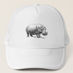 Boné Hippopotamus