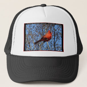 Boné Hot Springs Mountain Promenade Presentes Cardinal