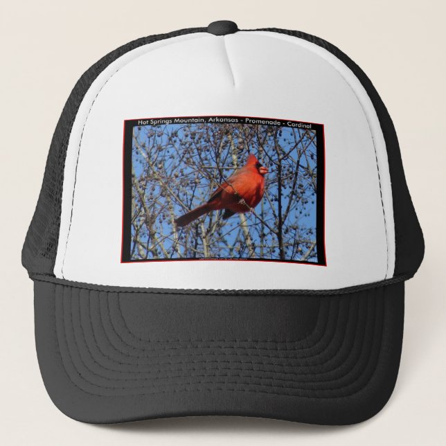 Boné Hot Springs Mountain Promenade  Presentes Cardinal (Frente)