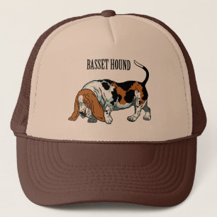 Boné hound basset