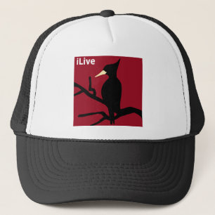 Boné IBWO: iLive
