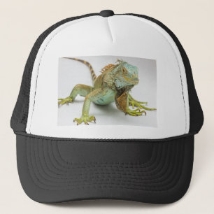 Boné Iguana