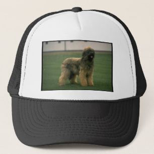 Boné Imagem do cão de carneiros