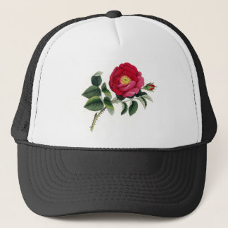 Boné Impressão botânico - o francês aumentou (Rosa