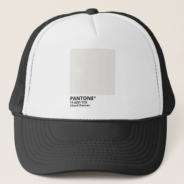 Boné Inpiration pantone 2026 (Frente)