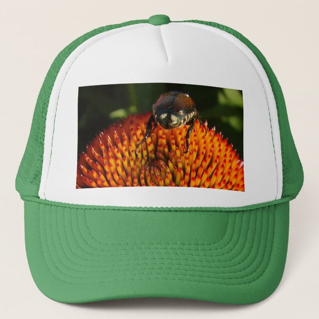 Boné Inseto na ventoinha (Frente)