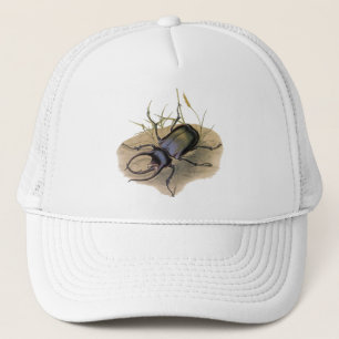 Boné Insetos e Insetos da Vintage, Besouro Rinoceronte