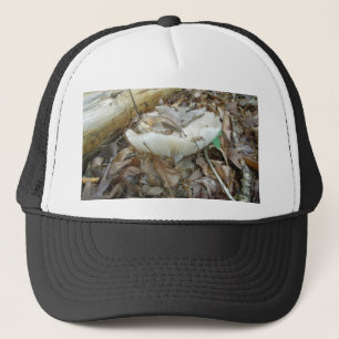 Boné Itens de coordenação de cogumelo branco